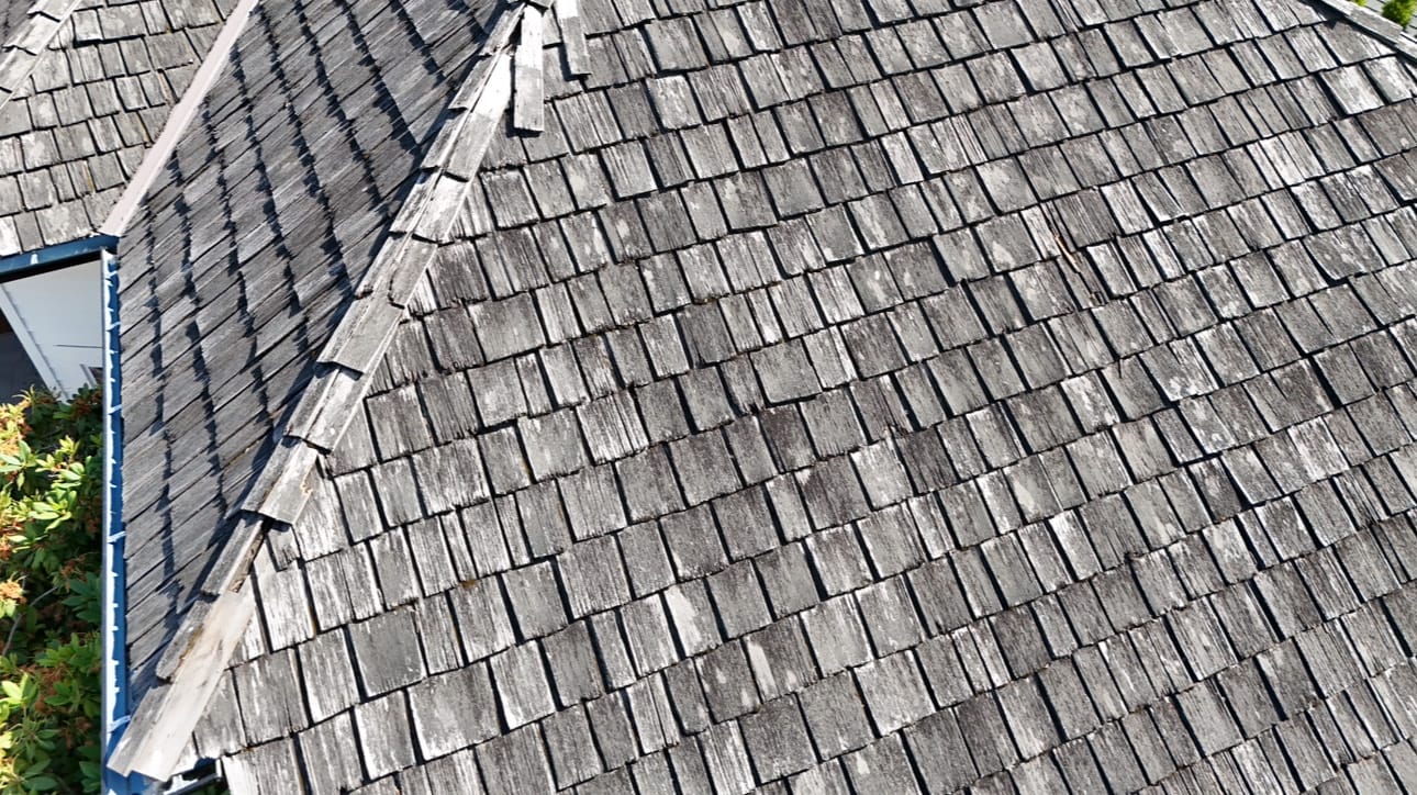 Composition Shingles Photo Gallery project in the Seattle area by K Single Corp, photo 57 of 58